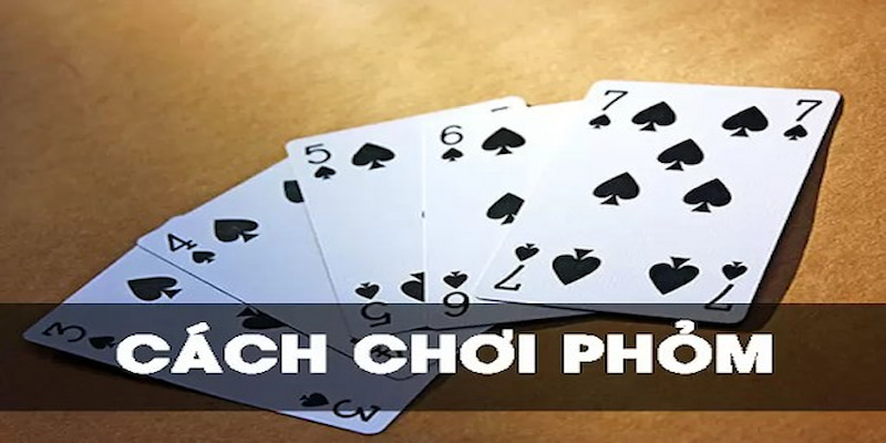 Mẹo chơi Phỏm hiệu quả, đem về lợi nhuận cao