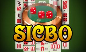 sicbo xin88